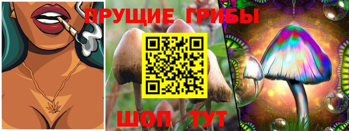 Псилоцибиновые грибы мицелий Дальнереченск